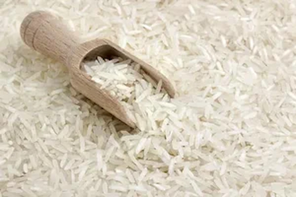تصویر 1 از فروش برنج عنبر بو اصل + قیمت خرید به صرفه